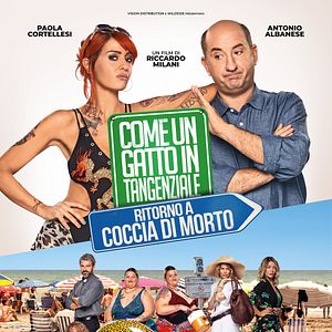Photo Come Un Gatto In Tangenziale