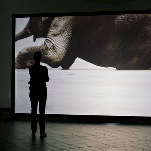 Photo Ursula Strauss