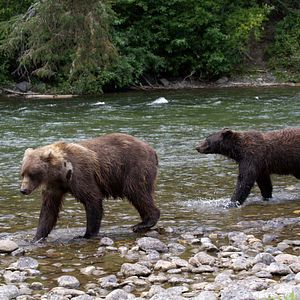 Photo Grandir dans le monde animal