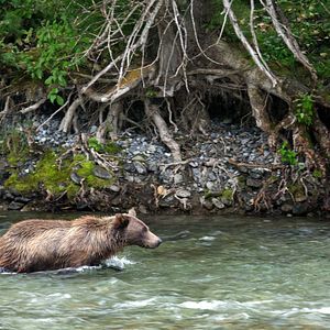Photo Grandir dans le monde animal