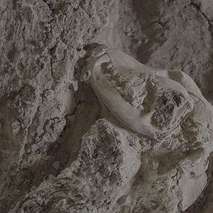 Photo Les trésors perdus de la Vallée des Rois