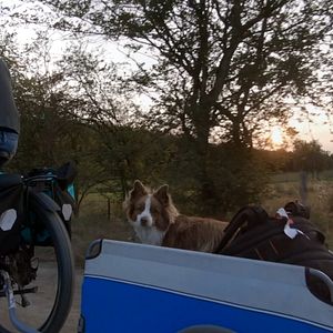 Photo Tandem Local
