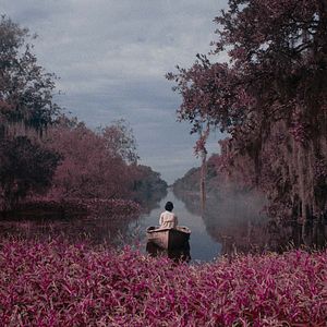 Photo Blue Bayou