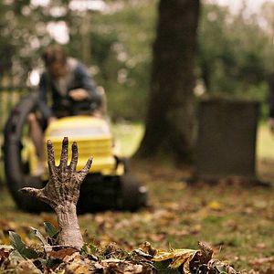 Photo Day Of The Dead