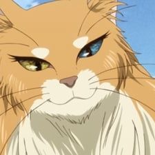 Photo The Ancient Magus' Bride