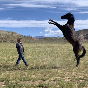 Photo Les Cowboys, mes héros