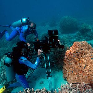 Photo Wonders of the Sea 3D