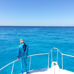 Photo Wonders of the Sea 3D