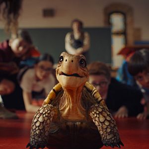 Photo L’Ecole des animaux magiques