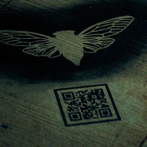 Photo Dark Web: Cicada 3301