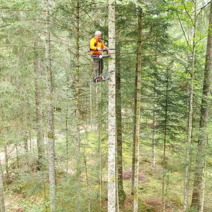 Photo La Puissance de l’arbre avec Ernst Zürcher