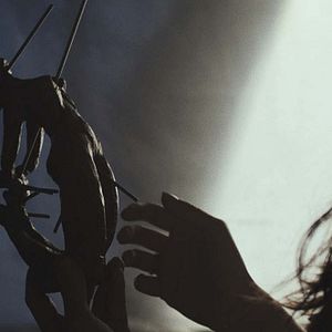 Photo La Proie d'une ombre