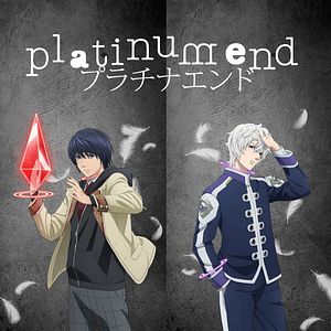 Photo Platinum End
