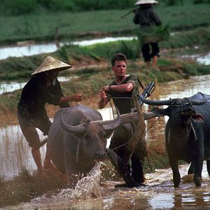 Photo Michael J. Fox