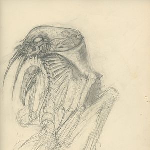 Photo Memory - The Origins of Alien