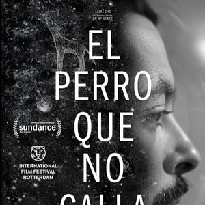 Photo El perro que no calla