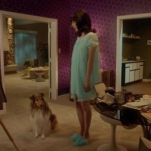 Photo Les Nouvelles Enquêtes de Miss Fisher