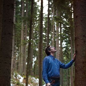 Photo La Symphonie des arbres