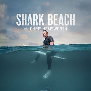 Photo Chris Hemsworth à la rencontre des requins
