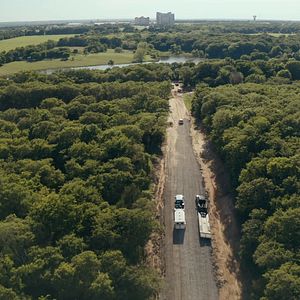 Photo Au royaume des fauves