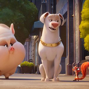 Photo Krypto et les Super-Animaux