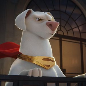 Photo Krypto et les Super-Animaux