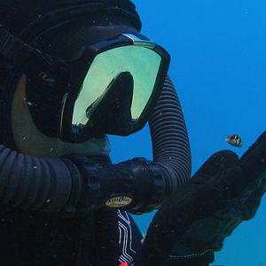 Photo Comme un poisson dans son récif