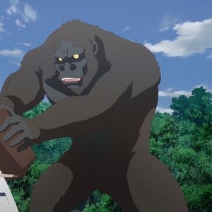 Photo The Faraway Paladin