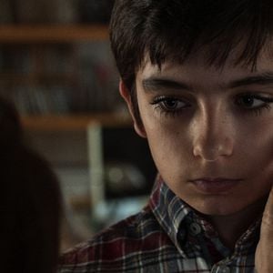 Photo Les hautes herbes