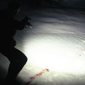 Photo Csaba Krisztik