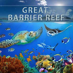 Photo Grandiose Barrière de corail