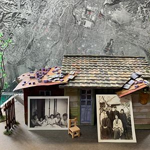 Photo Irradiés