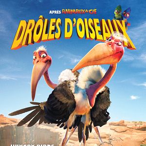 Photo Drôles D'oiseaux
