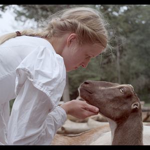 Photo Le Cœur battant