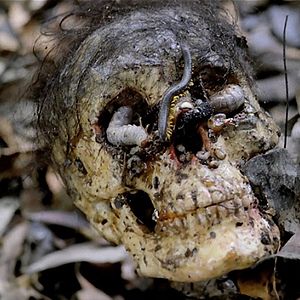 Photo Cannibal Holocaust