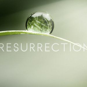 Photo Resurrection