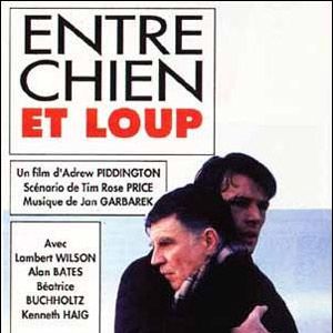 Photo Entre chien et loup