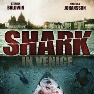Photo Shark In Venice