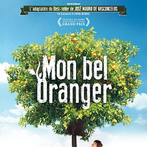 Photo Mon bel oranger