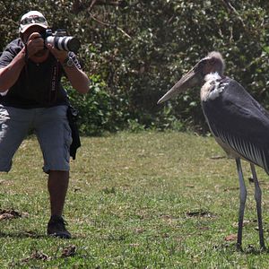 Photo African Safari 3D