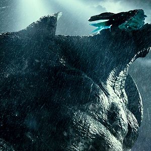 Photo Pacific Rim