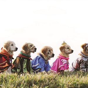 Photo Les Copains Super-Héros