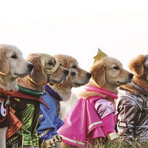 Photo Les Copains Super-Héros