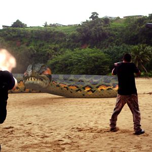 Photo Piraconda