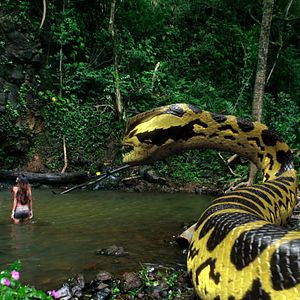 Photo Piraconda