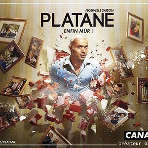 Photo Platane