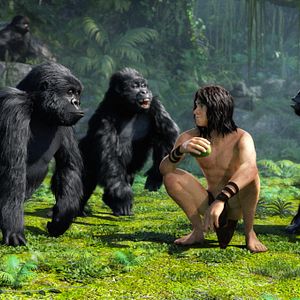 Photo Tarzan