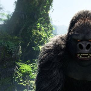 Photo Tarzan