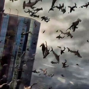 Photo Sharknado
