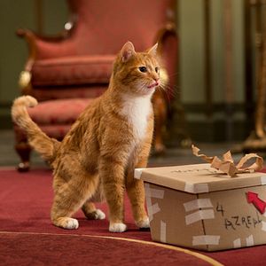 Photo Les Schtroumpfs 2